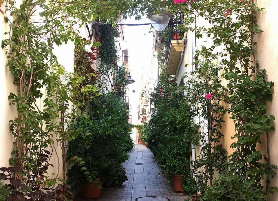 Casa Bonaire Διαμέρισμα Γιαβέα Εξωτερικό φωτογραφία